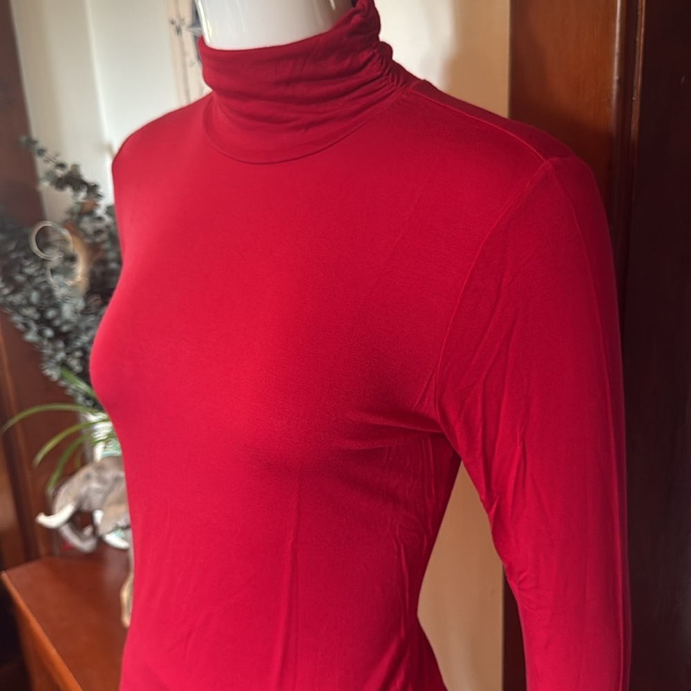 NWT Style&Co size small Red Turtleneck Long Sleeve Top
